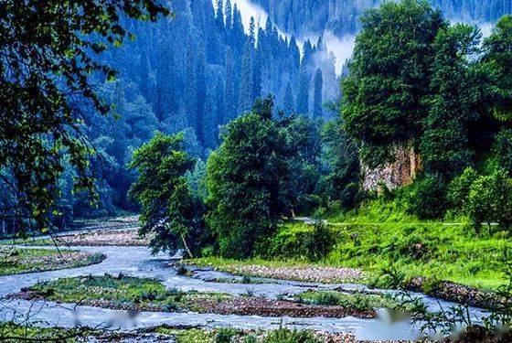 新疆库尔德宁美的犹如世外桃源它的魅力很多人都不知道