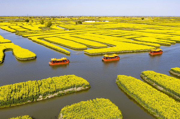 江苏春季20个赏花胜地出炉！