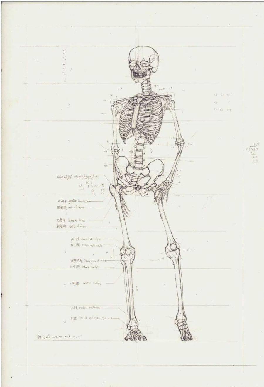 这个医学生来跟美术生抢饭碗了手绘人体结构斩获国际设计大奖圈粉千万