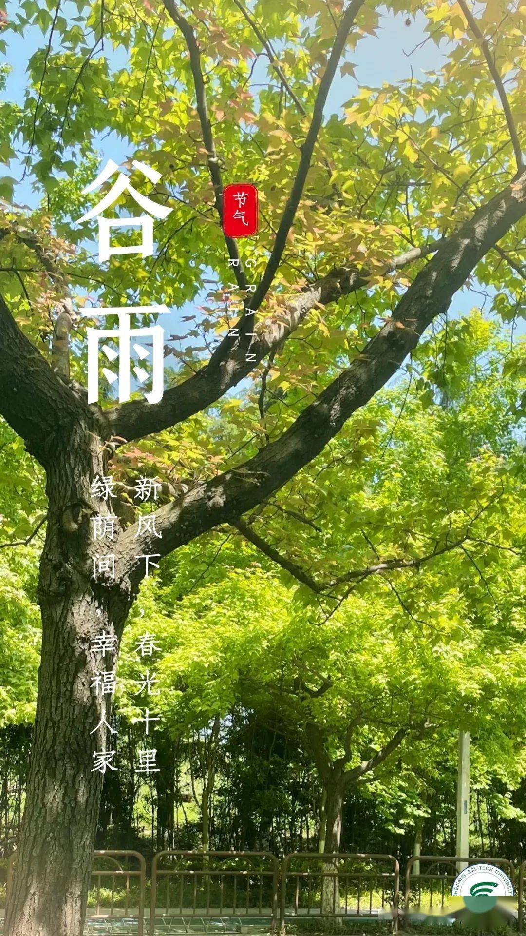 浙理谷雨春风化雨润物无声