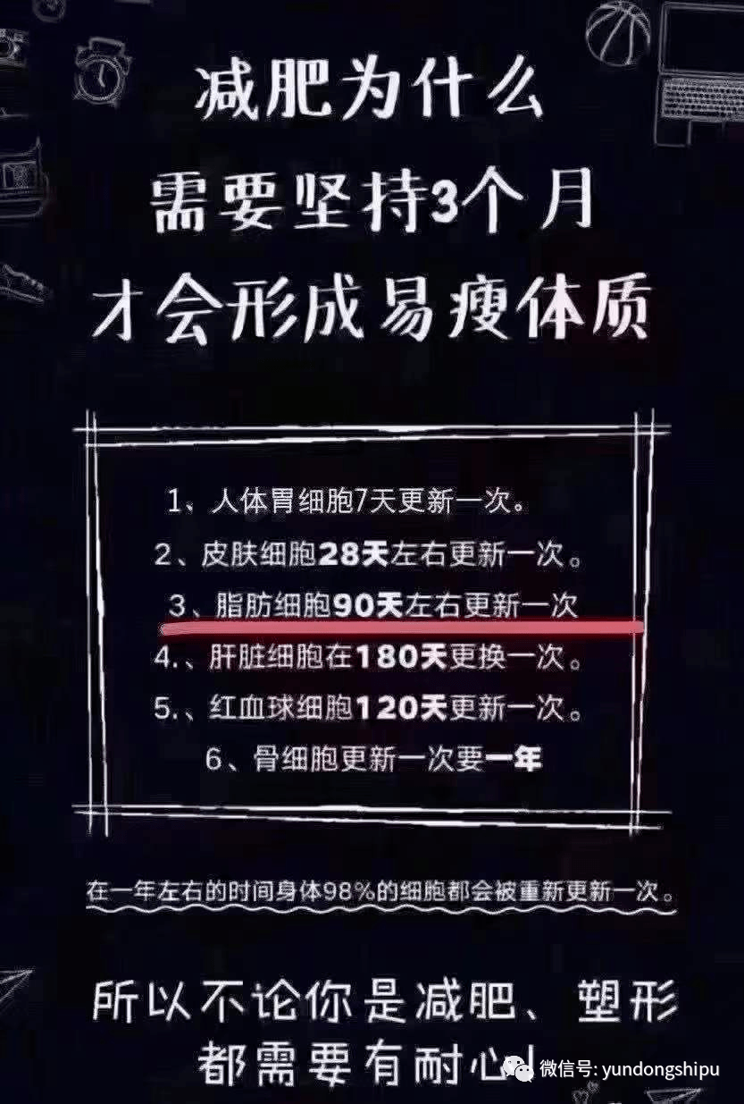 减肥计划表模板可爱手绘_减肥计划表_减肥计划表格详细