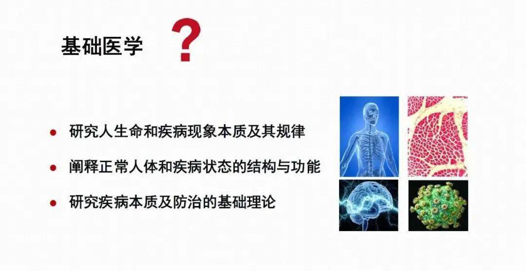 北大強基學科解讀基礎醫學築健康渡輪湧生命汪洋