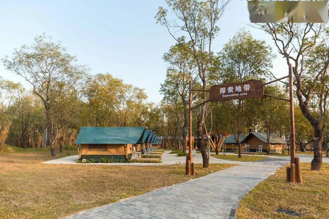 五一假期广东自驾游从化北纬23度8森林营地299元野趣帐篷499元轻奢野