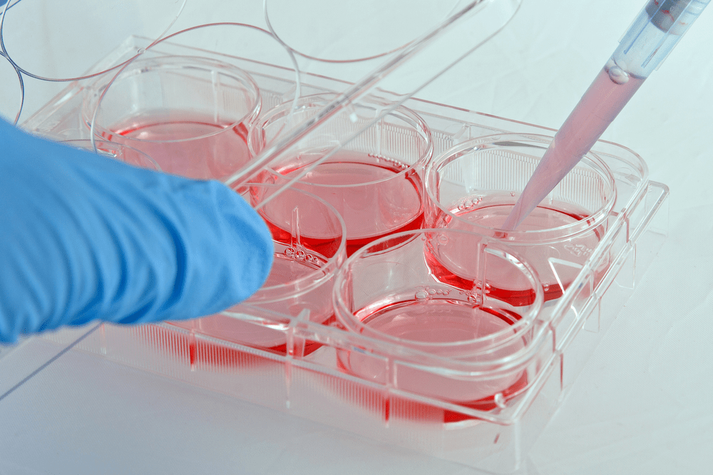 遵循实验室最佳操作实践,掌握全面的细胞培养技巧是获得一致性实验