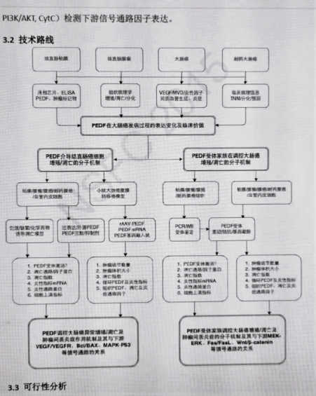 经验国自然标书中分子调控轴的展示要多点花样