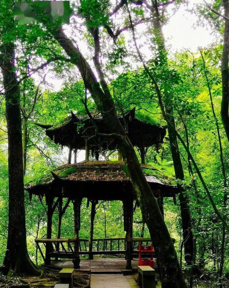 共赏美景,共话美好跨越时空与先贤们透过亭廊楹联青城山这些"默默无闻