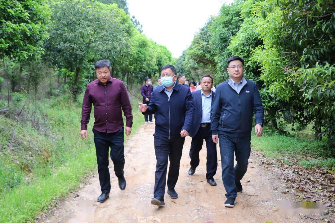 市民宗局局长章志强,县委常委,统战部部长钟梁,县委常委,副县长