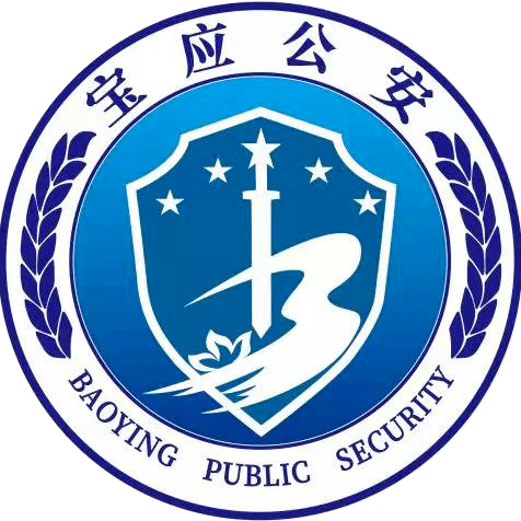 自投罗网宝应泾河发生的