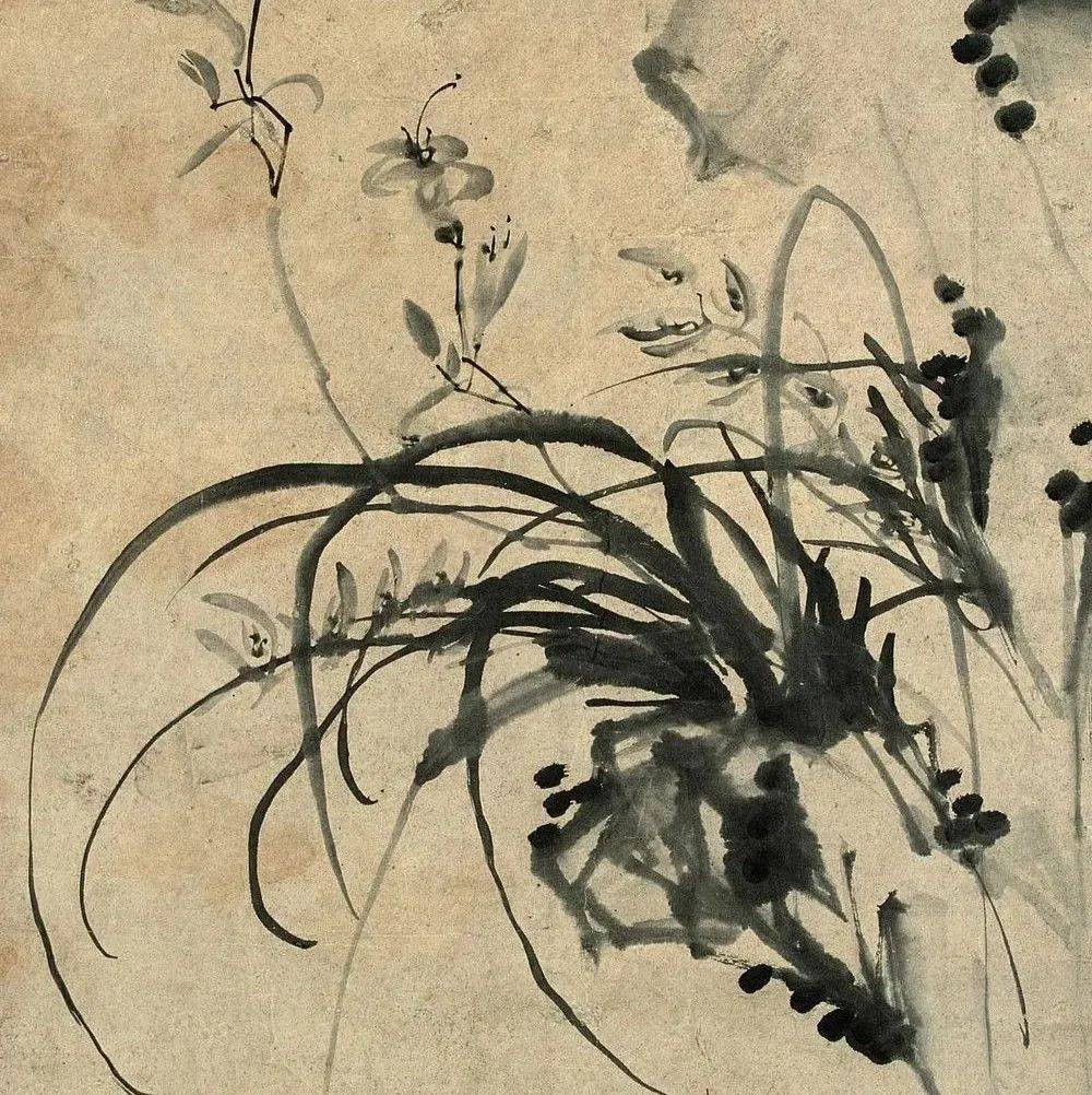 这粗笔大写意，震撼晚清画坛_花鸟画_画风_扬州