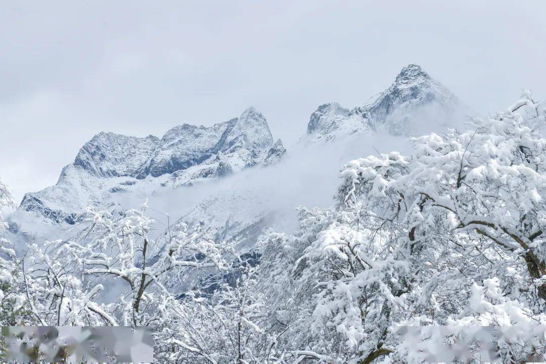 春未四姑娘山雪依然
