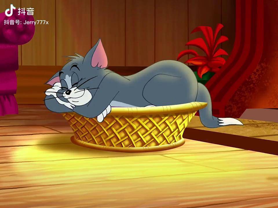 你的笑能治愈一切猫和老鼠歌曲深夜失眠