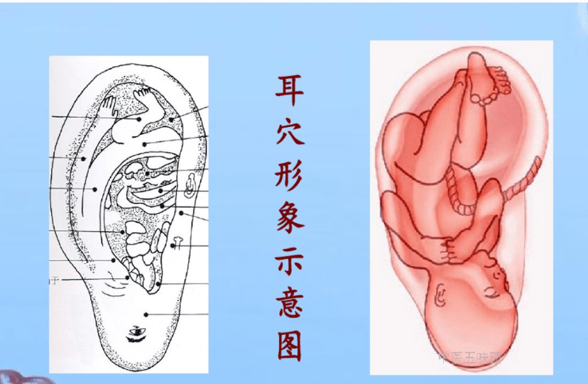 一年之计在于春,一日之计在于晨.