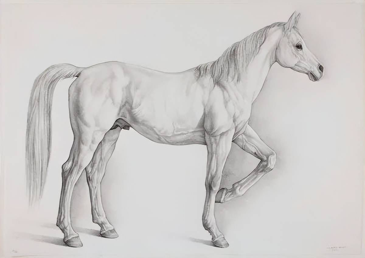 如芭蕾舞般优雅恬静的画作克劳迪奥布雷沃作品欣赏