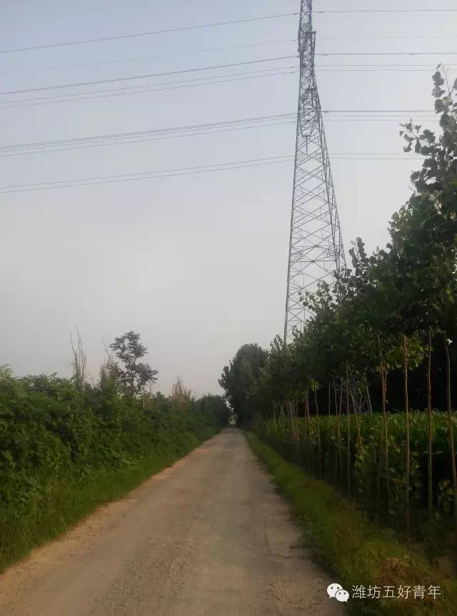 探寻夏寒浞冢_古寒_寒亭区_潍县