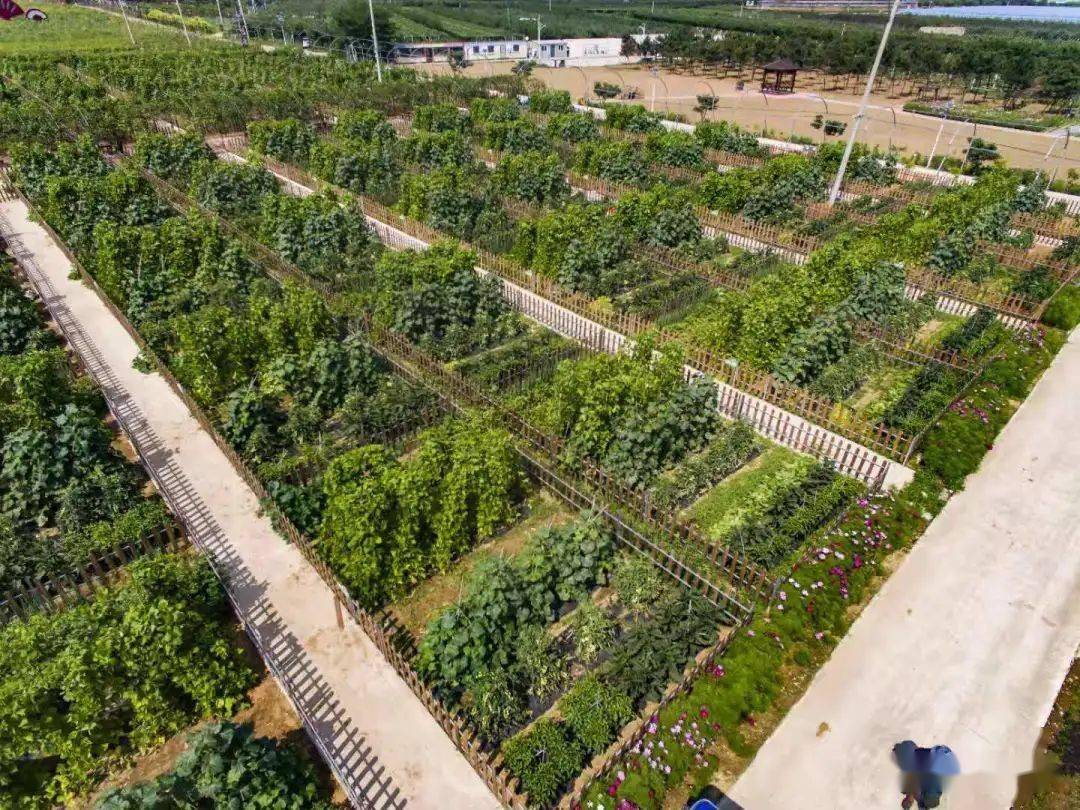 你想擁有一塊菜田嗎小望海農樂園開心農場認養招租啦報名送福利