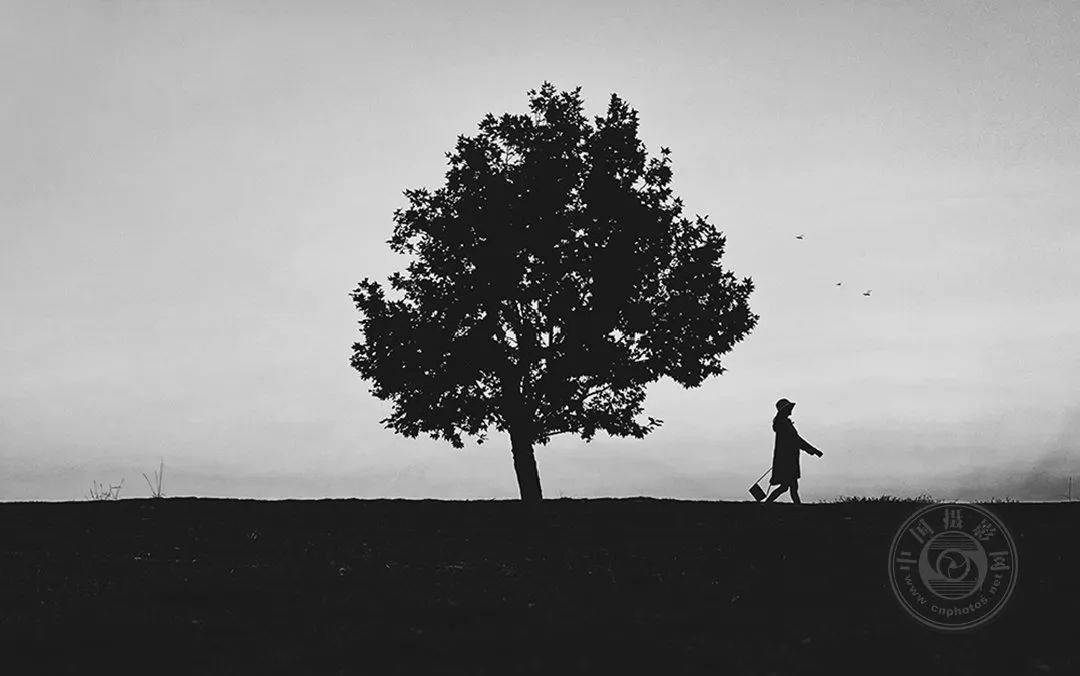 第11届世界手机摄影大赛获奖作品解析黑白组