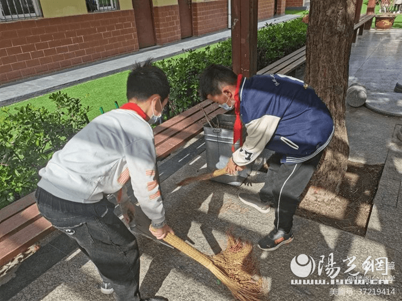 未央區樓閣臺小學開展第34個愛國衛生月主題活動_綠色_環保_師生