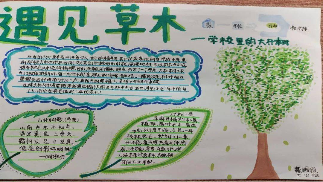 遇见人间草木一致远初中读书节活动启动