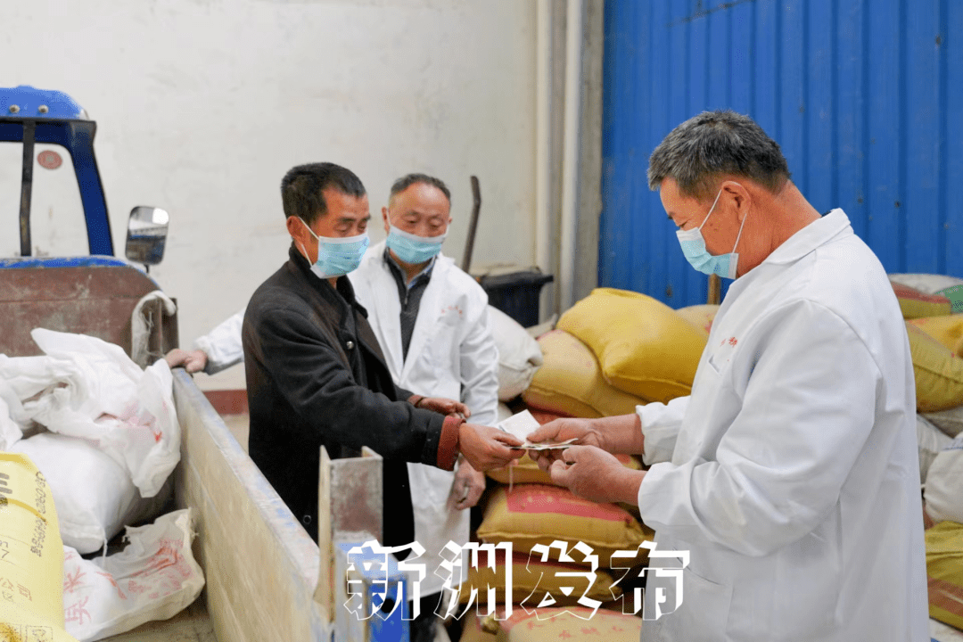 "徐总,这次想种植'荃优全赢丝苗'品种的稻米,需要种子120斤.