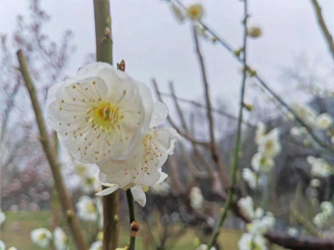 最高法 房屋买卖合同中办证请求权是否适用诉讼时效 不动产 所有权 登记