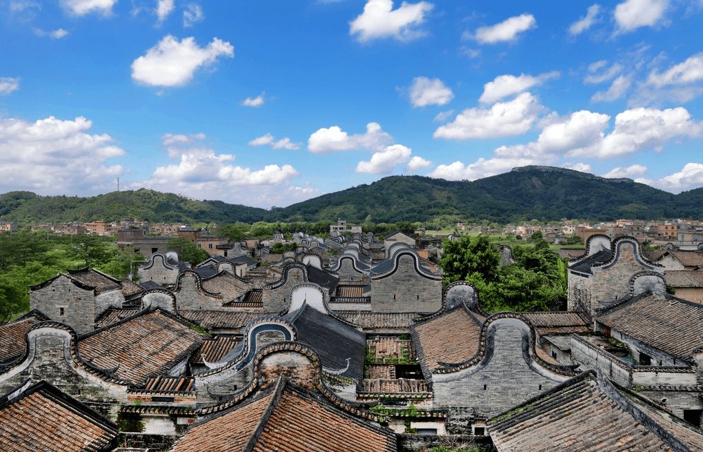 龙山镇织密基层防线坚决打通工作落实最后一公里