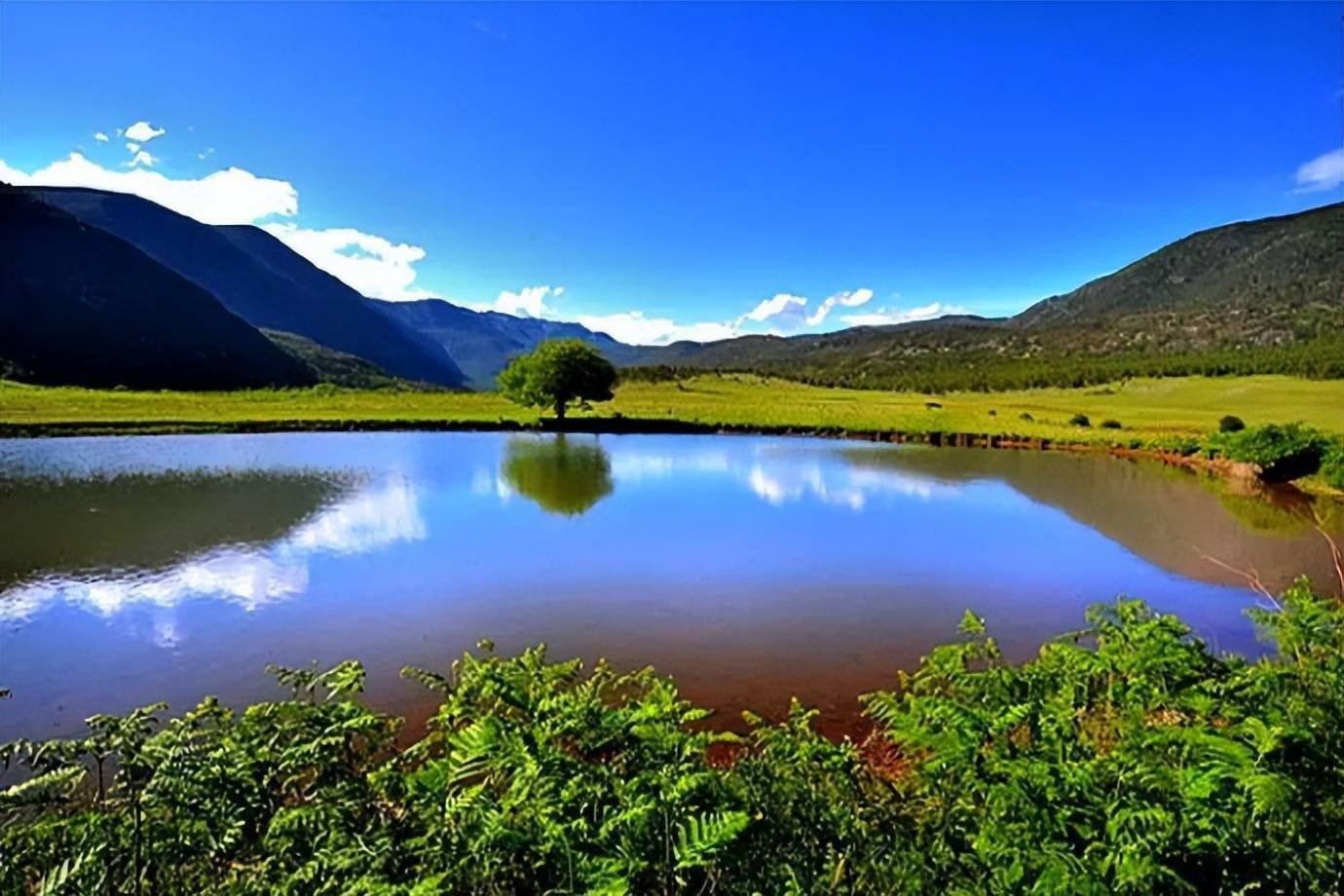 丽江九子海,神秘泉水,奇妙天坑,美丽花海,真正的人间仙境_美丽花_天坑