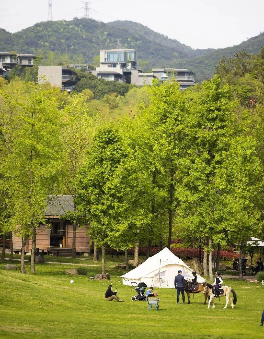 小镇时事实至名归蓝城郡安里再次喜提两项国际大奖