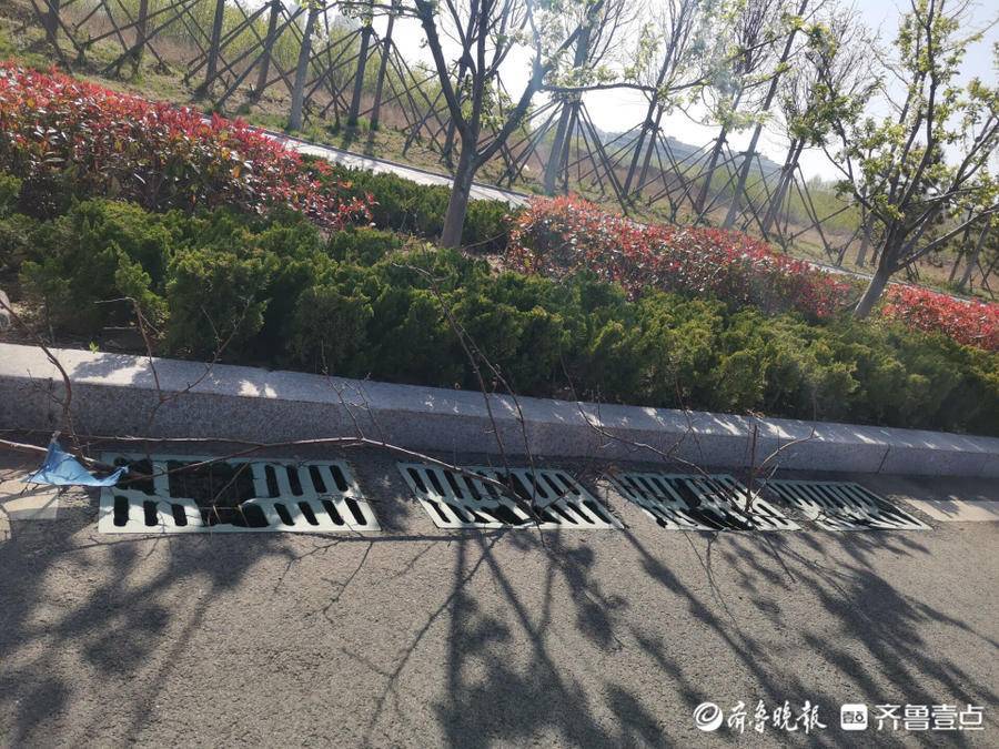 找记者上壹点|30多个井箅子破损缺失,大马路为何“步步惊心”_车辆_蓝谷_雨水