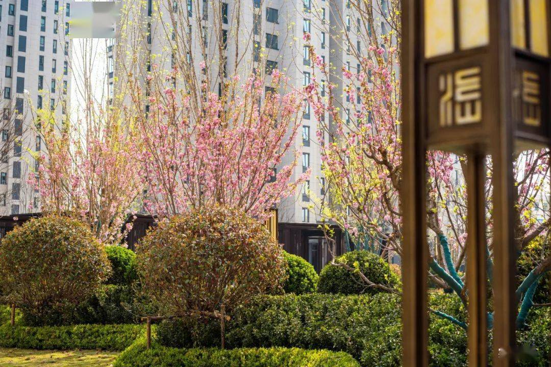 海信岱岳府抖音挑战赛一起晒出开门的美好瞬间