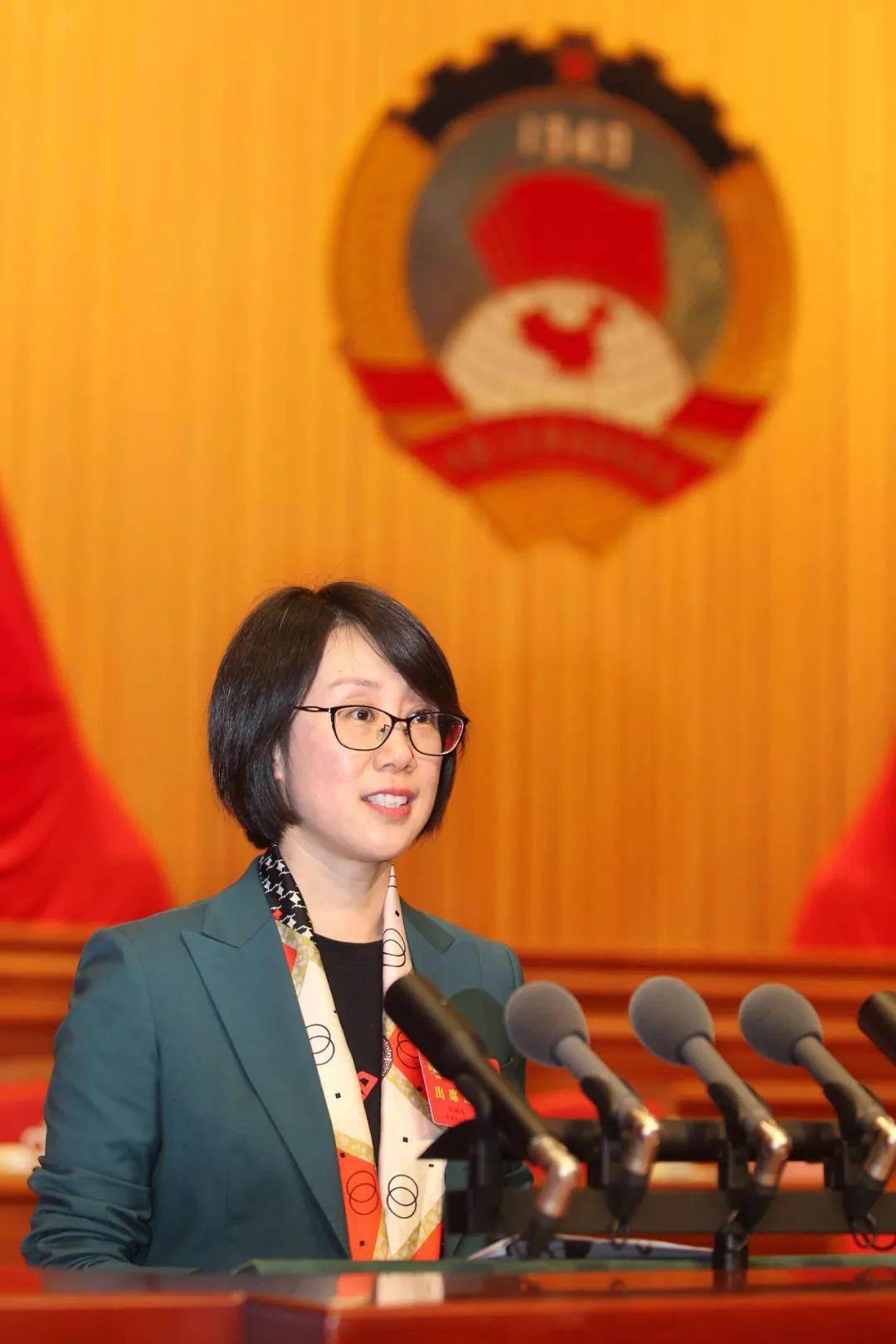 曹丽娟委员代表民革嘉兴市委会建议加快农产品流通体系建设,助推农民