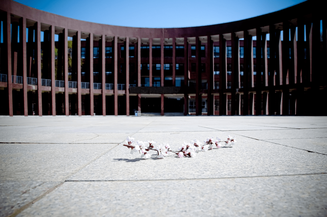 imuers一份专属于你的网课背景图等待查收