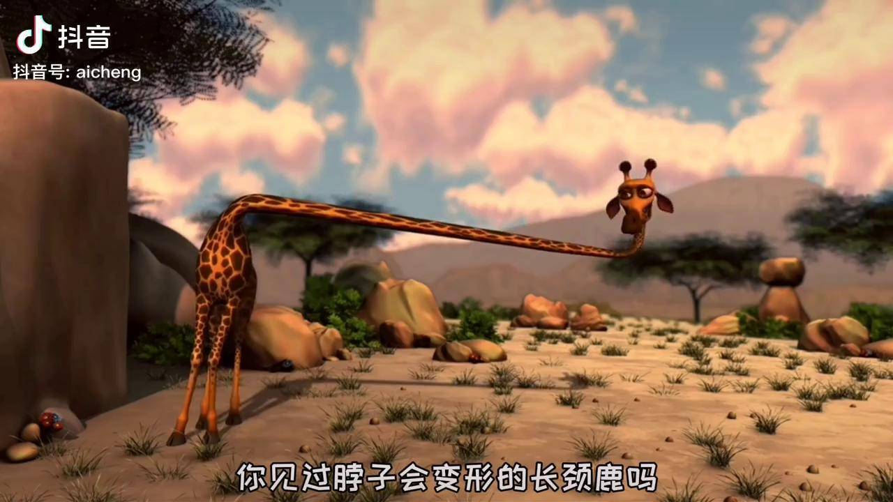 你见过歪脖长颈鹿吗长颈鹿的脖子睡歪了这可怎么办治愈动画