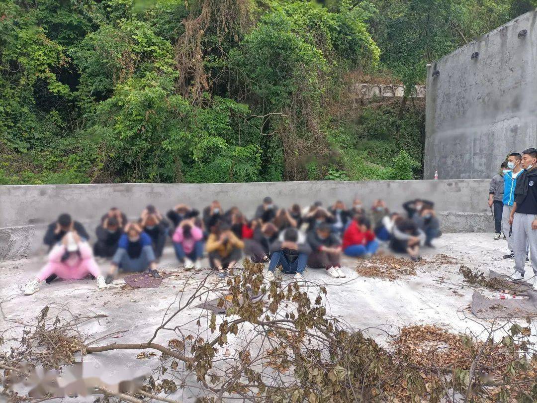 抓了35人 平阳山头的赌窝被端 侦查 警方 人员