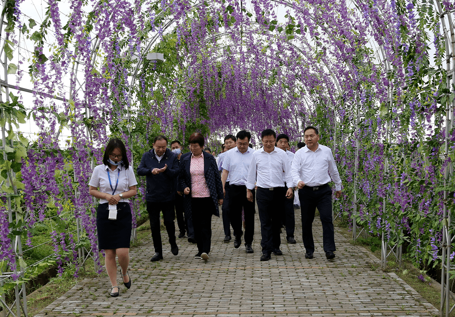 走访联系全国人大代表吉明东,省人大代表梅林,邓继涛,并参观了白云边