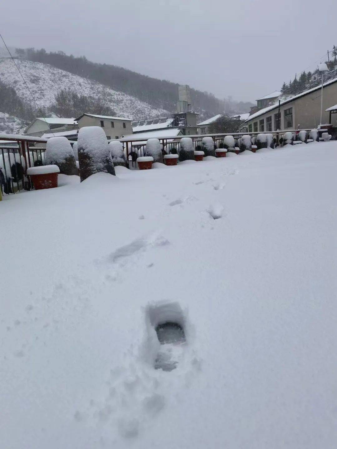 门头沟4月下雪仿佛一夜又入了冬