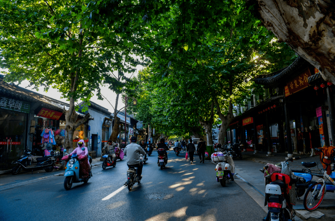 云游扬州老街巷,隔着屏幕都能感受到满满烟火气_甘泉路_丰里_皮货商