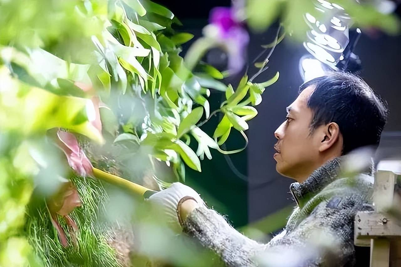 从"水哥"到"宝藏男孩",王昱珩活成了别人羡慕的样子