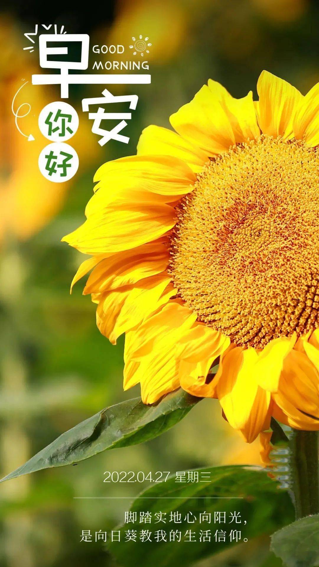 4月27日早安正能量朋友圈语录说说充满正能量的早安句子图片带字