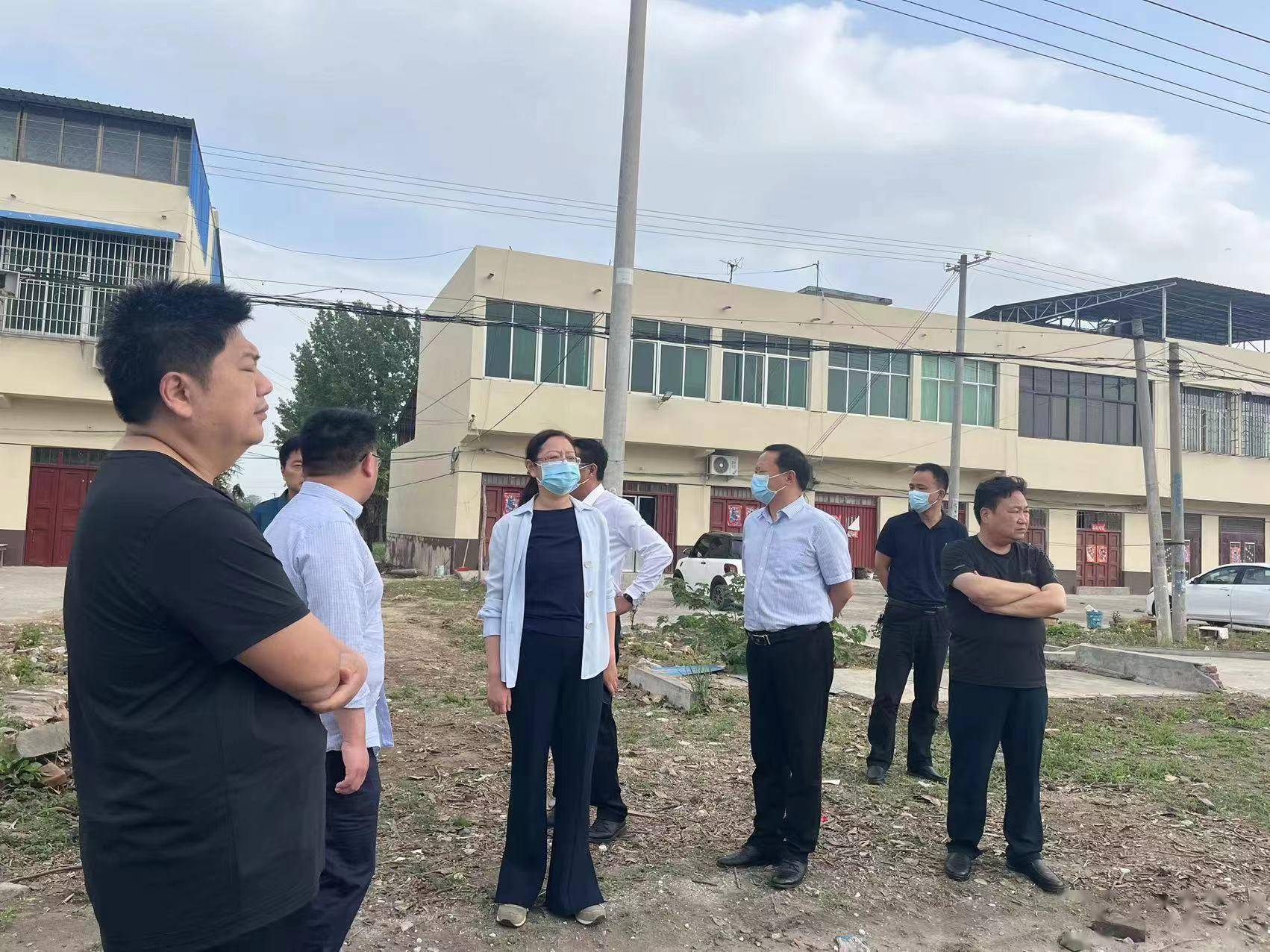 镇平县县长黄静暗访督导农村人居环境整治工作