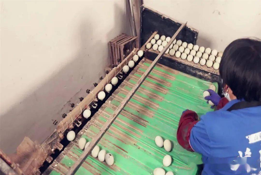 山东手造匠心枣庄松花蛋制作技艺省级非遗