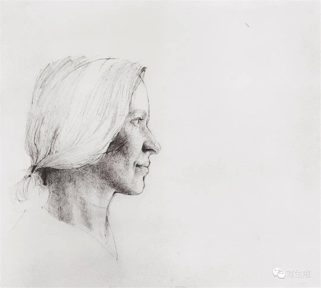 写生啦安德鲁怀斯andrewwyeth素描作品