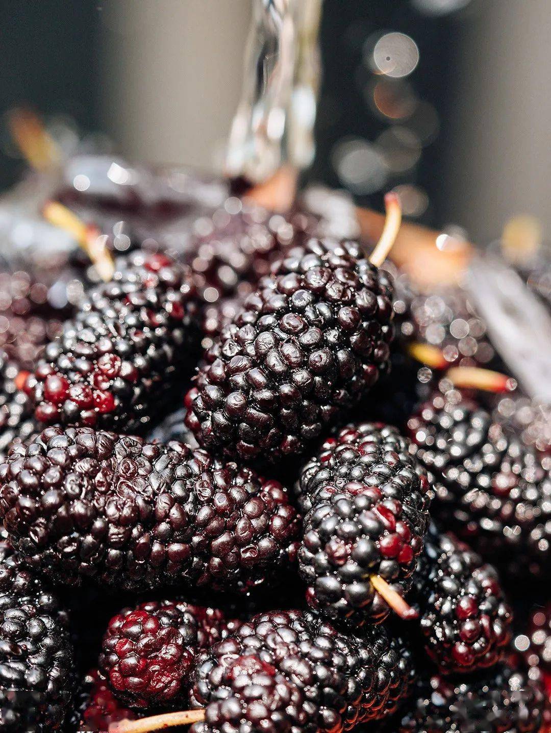 被刘耕宏虐哭后,喜茶"黑化"了_藤原浩_黑莓_产品