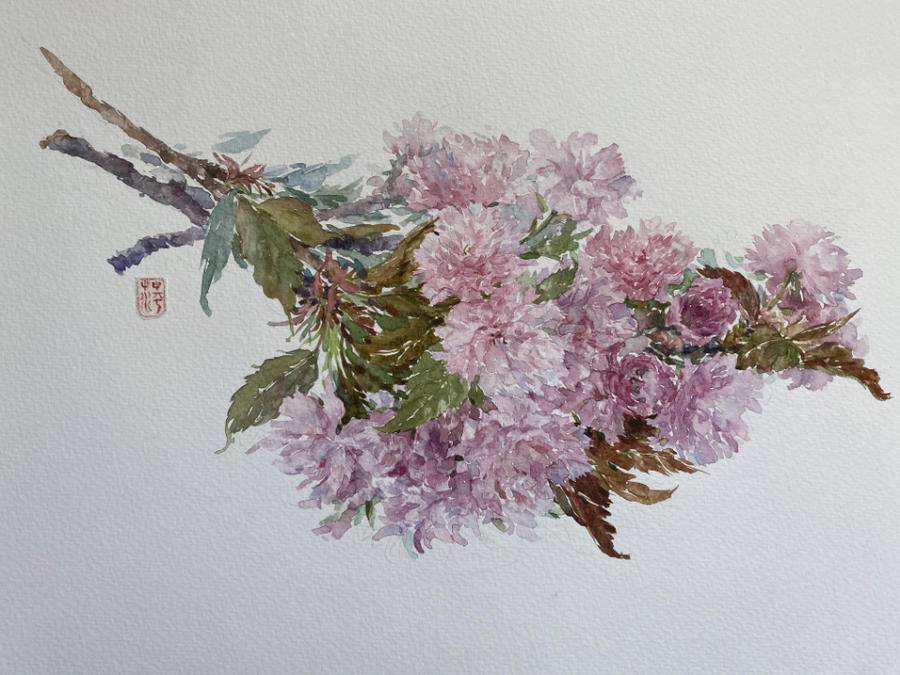 一期一会·樱花赋|一年一个樱花季,再见这让人心旌摇曳的樱花_贾绍萍_艺术_山东省