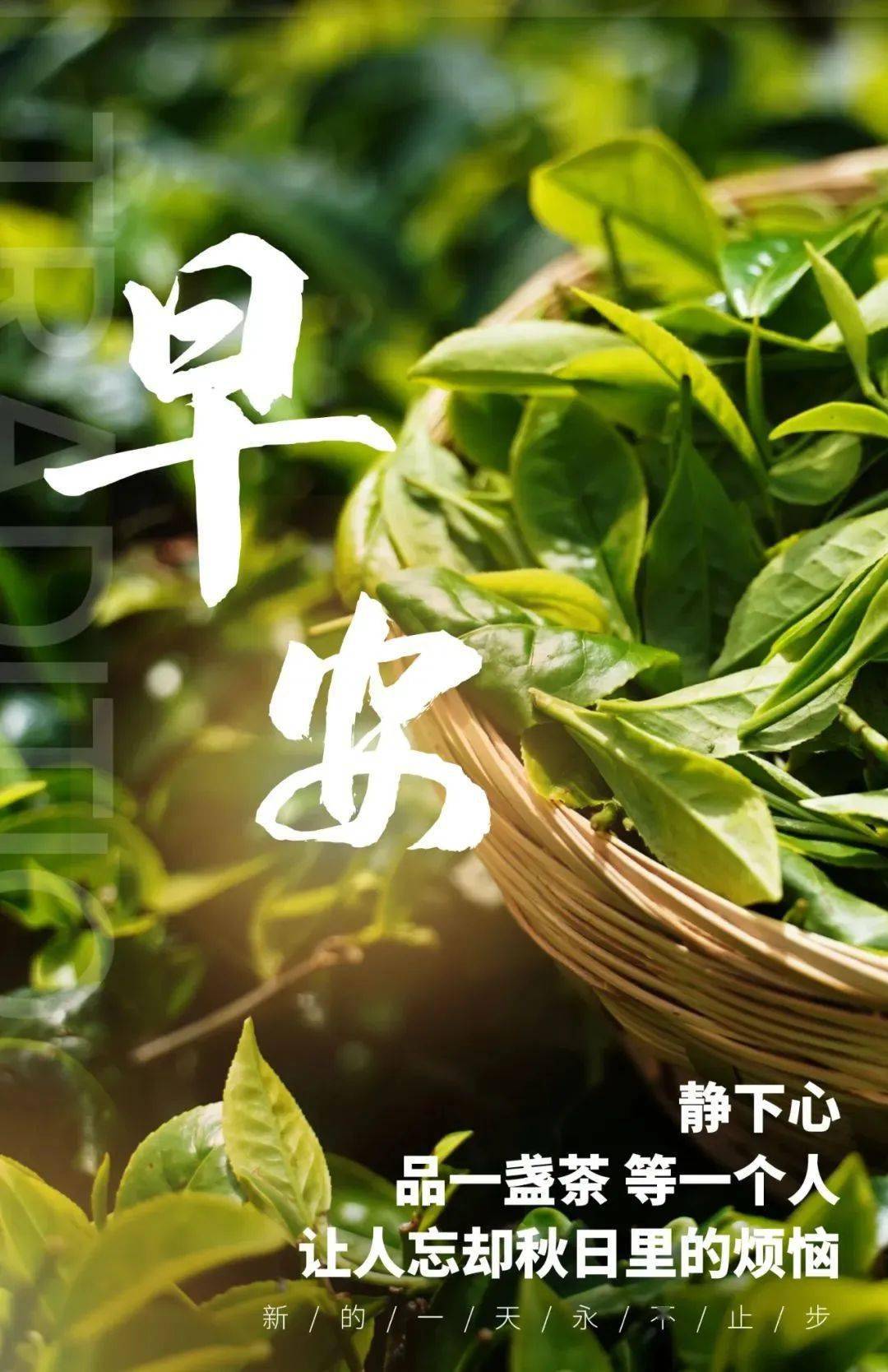 人生是一种态度心静自然天地宽早安