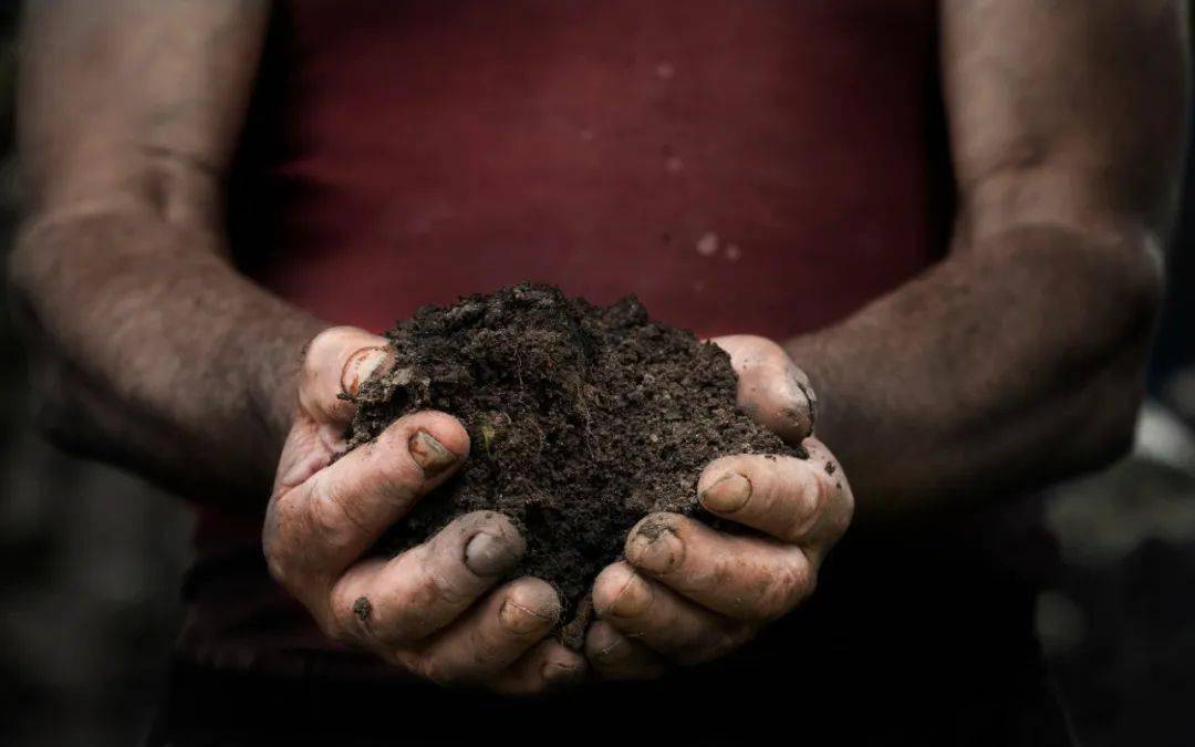 告急中国最珍贵的黑土正在加速流失