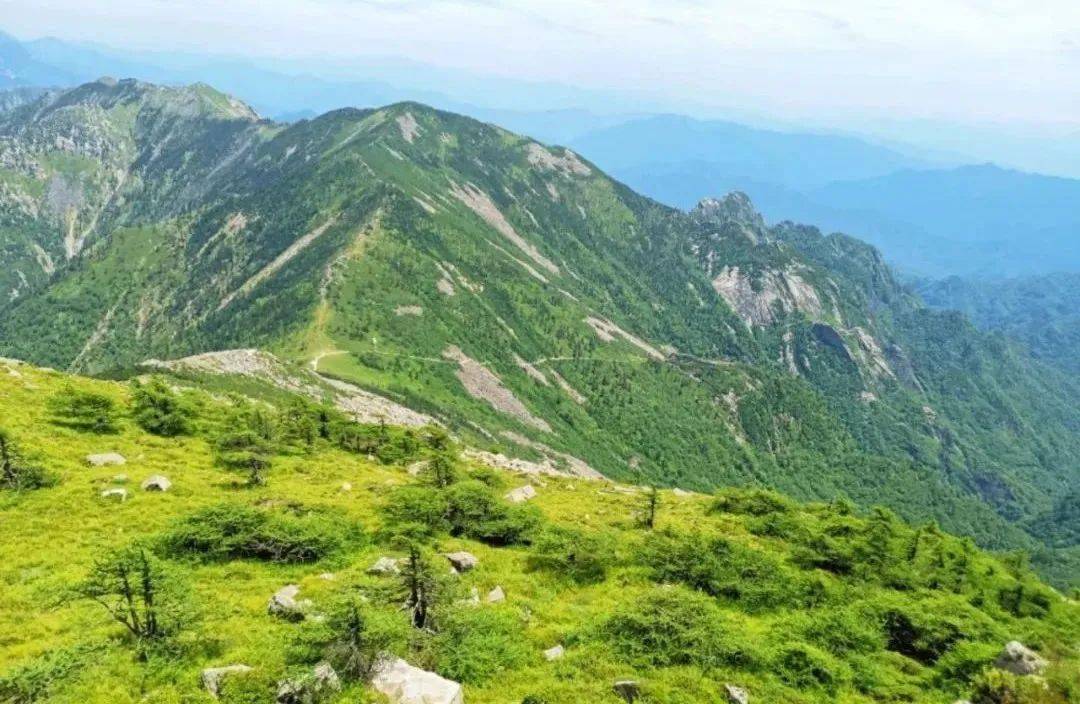 点击线路文字,跳转报名页面95【冰晶顶】分水岭高山草甸73团期:5