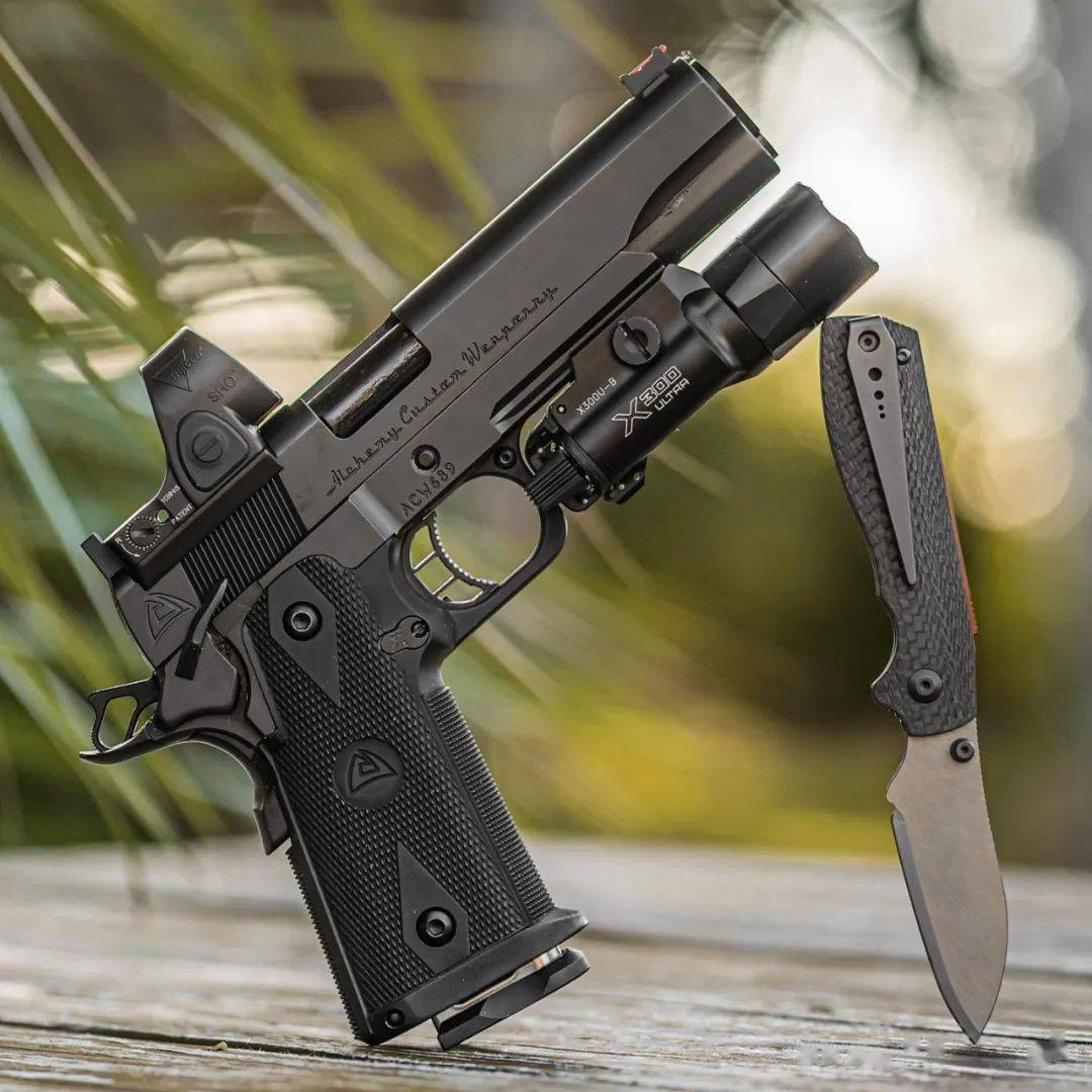 【alchemy1911美图】稳重 优雅 憨厚 随你怎么说_战术_备份_公众