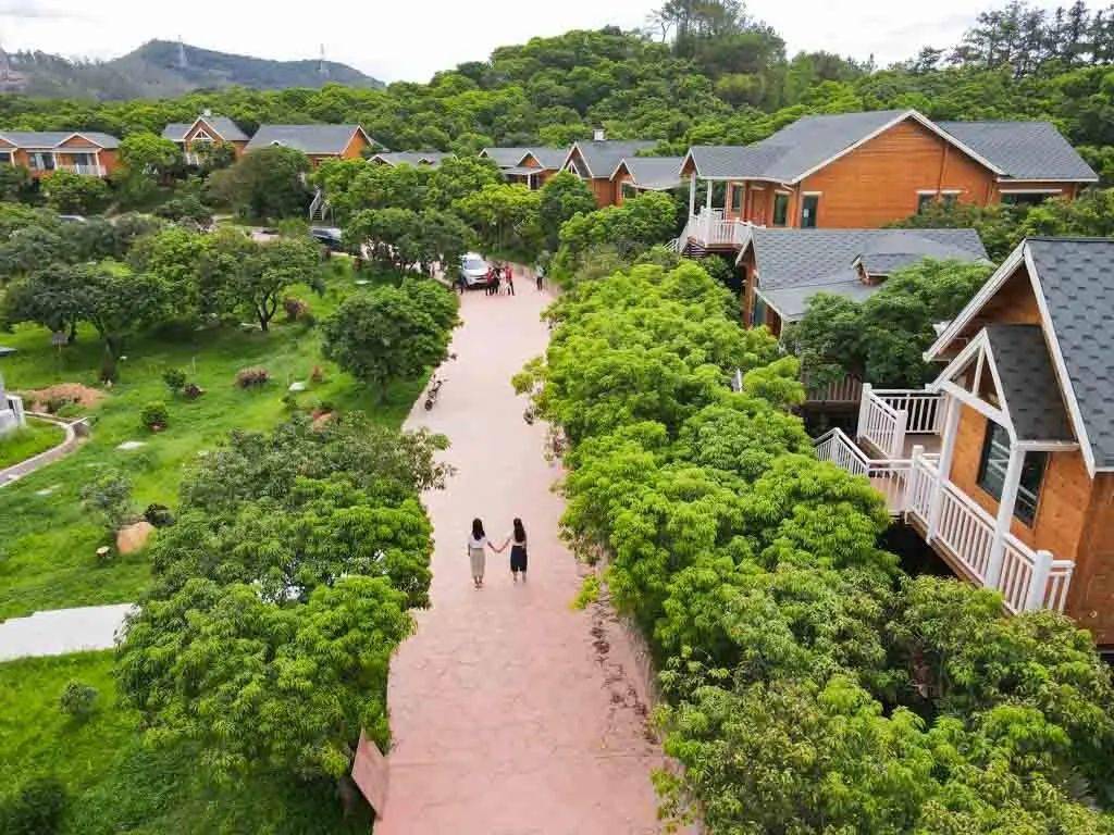 五一出游推荐:丹凤谷千亩沉浸式光影秀五一首次亮相