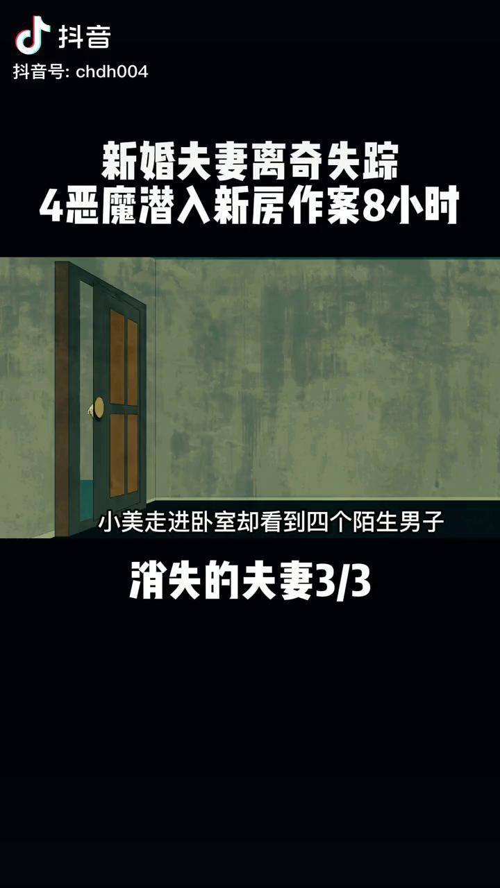 消失的夫妻新婚夫妻離奇失蹤4惡魔潛入新房作案8小時真實案例動畫製作