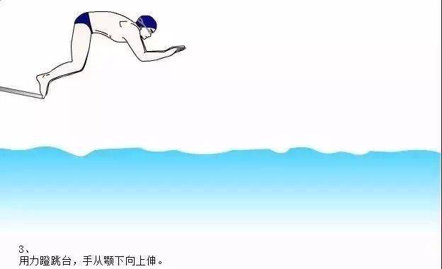 游泳跳台出发的四种分类六个阶段